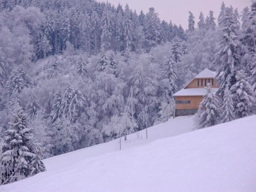 a cabin on a snow covered hill with trees at Apartment Egggraben by Interhome in Biembach im Emmental