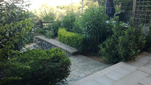 a garden with bushes and a stone bench at Luna e Mare in Cala Gonone