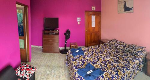 1 dormitorio con 1 cama, TV y paredes de color púrpura en La Casa de Jeimy en Puerto Baquerizo Moreno