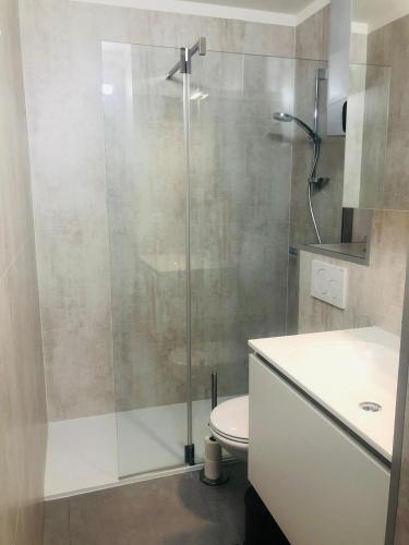 a bathroom with a shower with a toilet and a sink at Oostduinkerke Apartments in Oostduinkerke