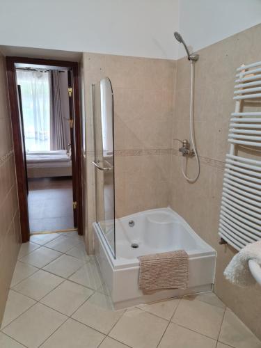 a bathroom with a shower and a bath tub at My-Lord LuxApartman in Eger