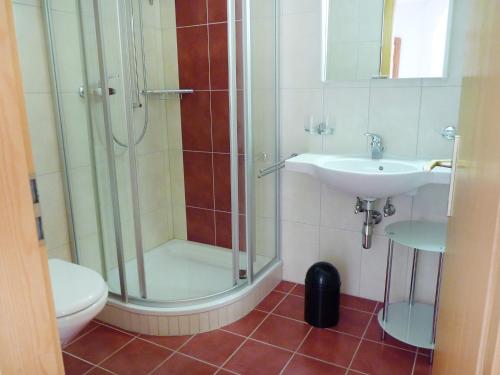 a bathroom with a shower and a toilet and a sink at Apartment Ardévine 5 by Interhome in Ovronnaz