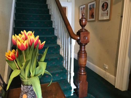 Gambar di galeri bagi Princetown Guesthouse di Bangor