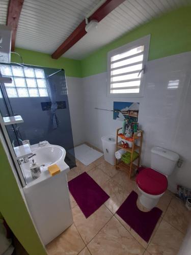 een badkamer met een toilet en een wastafel bij Pomme cannelle in Bouillante