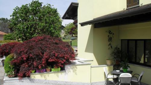 Albergo Residence Isottaにある庭