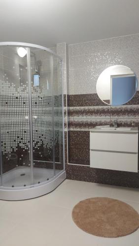 a bathroom with a shower and a sink at CASA DINCA in Cîmpu lui Neag