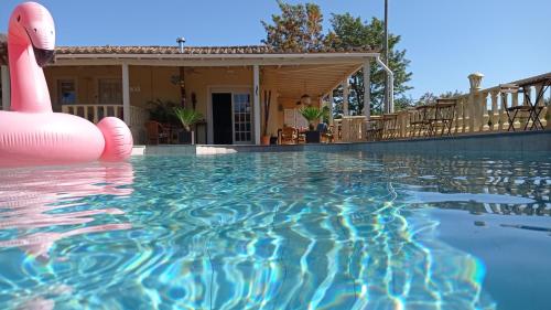 a swimming pool with a inflatable flamingo in the water at Quinta Pereiro Tropic Garden, Algarve in Moncarapacho