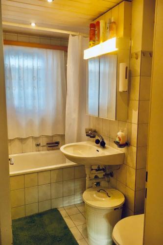 a bathroom with a sink and a toilet and a tub at Apartment Haus Lotti Apt 203 by Interhome in Schmitten