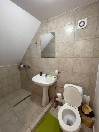 a small bathroom with a toilet and a sink at Casa Wiesmann Băile Felix in Baile Felix