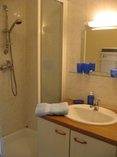 une salle de bain avec un lavabo, une douche et une baignoire dans l'établissement Bordo Basso, à Laugnac