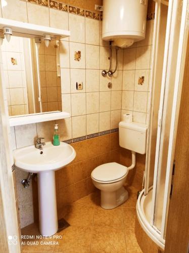 a small bathroom with a toilet and a sink at Apartment Topic in Baška Voda