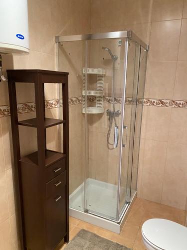 La salle de bains est pourvue d'une douche, de toilettes et d'un lavabo. dans l'établissement Algarrobo Costa Beach, à Algarrobo-Costa