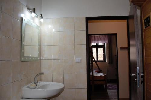 a bathroom with a sink and a mirror at Na koňské farmě in Malečov