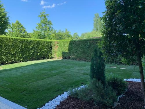 un jardín con césped verde y un seto en Appartamento Internazionale 2, en Abano Terme