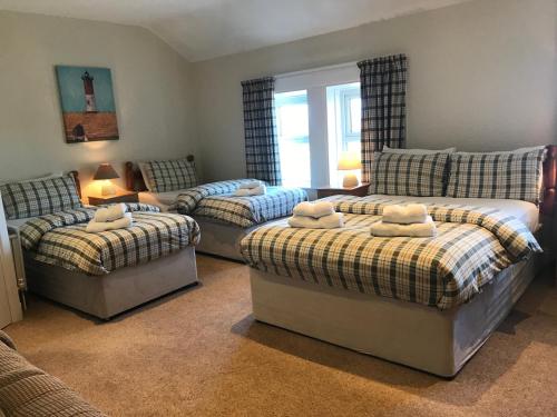 a living room with three beds and a couch at Princetown Guesthouse in Bangor