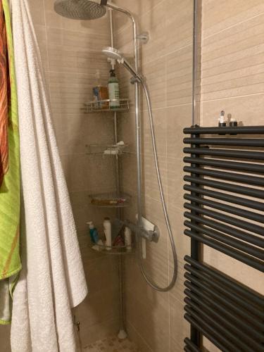 eine Dusche mit Duschkopf im Bad in der Unterkunft Chambres chez l'habitant Hermès à Blagnac in Blagnac
