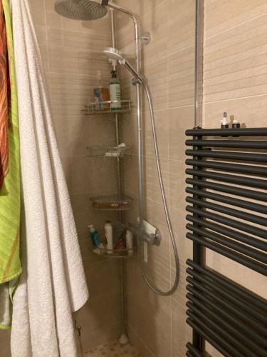 Koupelna v ubytování Chambres chez l'habitante Hermès à Blagnac