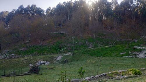a grassy hill with trees in the background at O Aconchego das Raízes in Baião