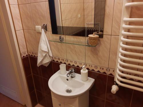 a bathroom with a sink and a mirror at Na Złotych Łanach - apartament z parkingiem in Bielsko-Biała