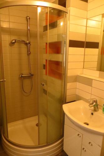 a bathroom with a shower and a sink at Nature in Kraków