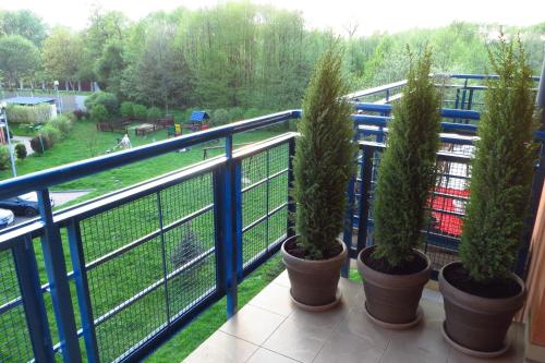 three potted trees in pots on a balcony at Nature in Kraków