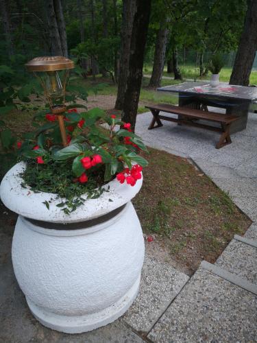 Un jardín fuera de Pineta