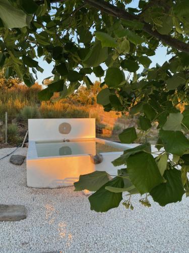 a microwave sitting on the ground under a tree at Lugar d´vagar, Vale Serrão, Castelo de Vide in Castelo de Vide
