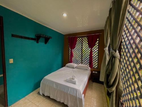 Schlafzimmer mit einem Bett mit blauen Wänden und einem Fenster in der Unterkunft Los Amigos Jungle Hotel Tortuguero in Tortuguero