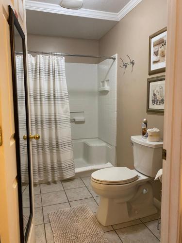 a bathroom with a toilet and a shower at Grafton Lodge in Lake Lure
