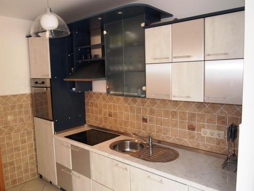 Kuchyň nebo kuchyňský kout v ubytování House FRLAN