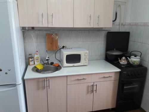 una pequeña cocina con fregadero y microondas en Комфортная квартира для гостей города, en Kyzylorda