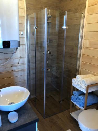 a bathroom with a shower and a sink at DOMEK POD LIMBAMI III in Kluszkowce