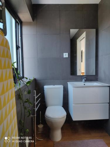uma casa de banho com um WC, um lavatório e um espelho. em Cork House em Vila Praia de Âncora