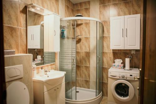 ein Badezimmer mit einer Dusche, einem Waschbecken und einer Waschmaschine in der Unterkunft Ugodan smještaj u Sarajevu in Sarajevo