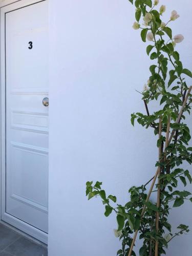 Fotografie z fotogalerie ubytování Katsikantaris Homes v destinaci Paphos City