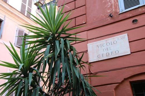 Cedro Home