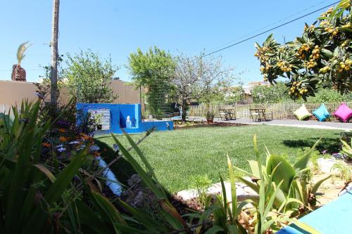 a backyard with a yard with grass and plants at Quinta do Silvestre in Albufeira