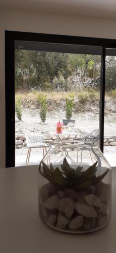 un vase en verre avec une plante devant une fenêtre dans l'établissement Casa Prunelli, à Omessa