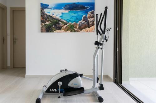 a treadmill in a room with a painting on the wall at Manuel's Dream in Ádhele