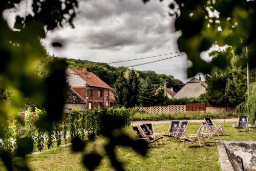 Penzion Vinařský dům Němčičky