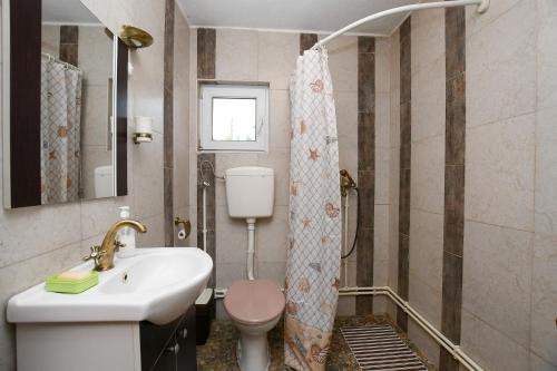 a bathroom with a sink and a toilet and a shower at Vila Kozokic in Kladovo