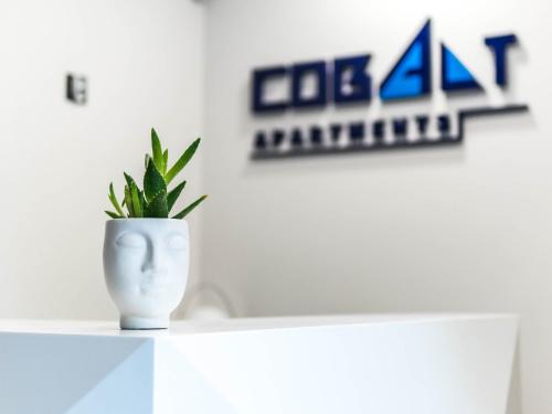 a plant in a white vase sitting on a table at Cobalt Apartments in Mikołajki