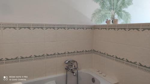 een badkamer met een bad en een palmboom bij Studio le Memagne in Lacuisine