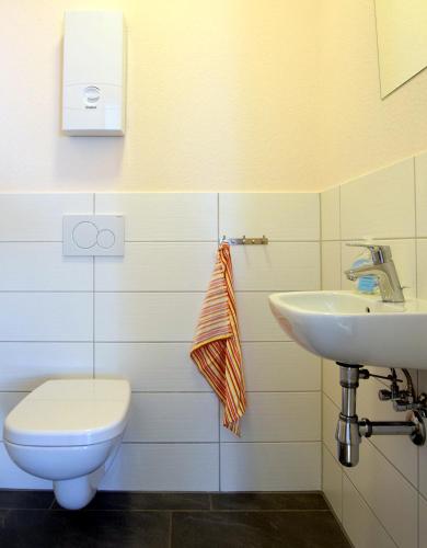 a bathroom with a toilet and a sink at Cosis Ferienwohnung in Hohnstein