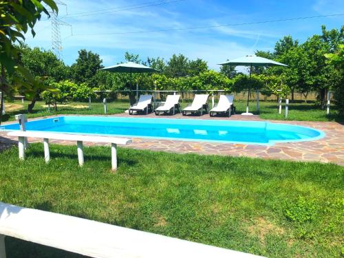 einen Pool mit Liegestühlen und Sonnenschirmen in der Unterkunft Tenuta Santa Lucia in Silea