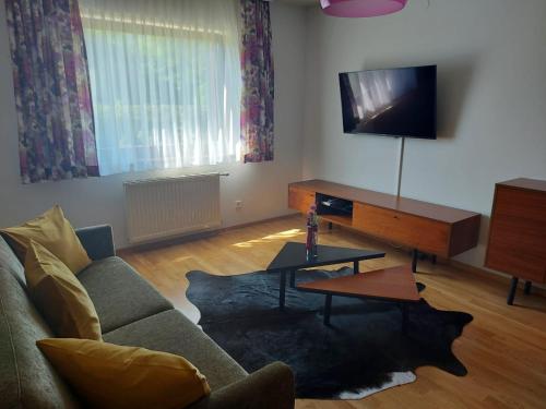 un soggiorno con divano e TV a schermo piatto di Appartementhaus Lisa ad Afritz