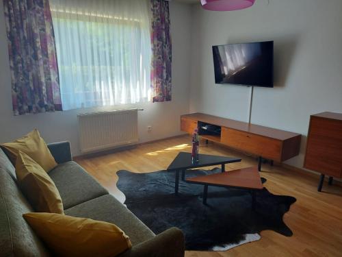 Televízia a/alebo spoločenská miestnosť v ubytovaní Appartementhaus Lisa