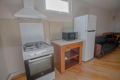 a kitchen with a stove and a refrigerator at Guest House "Old House" in Tʼelavi