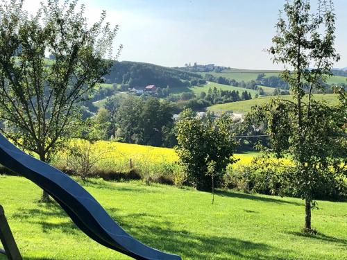 a slide in a field of green grass with trees at Ferienwohnung Mintbraun in Waldkirchen