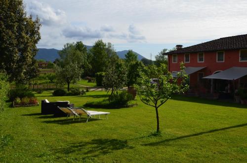 a yard with a couch and a table and a tree at Agriturismo Al Podere Di Rosa in Sant' Alessio